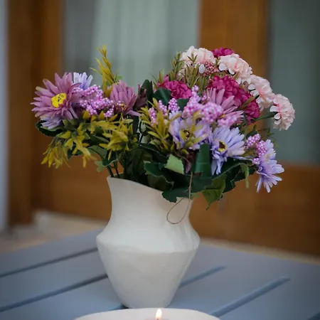 Aroma Dryos Εξοχικό σπίτι